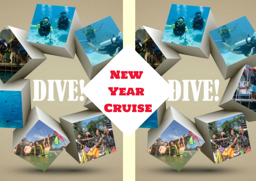 New Year Cruise